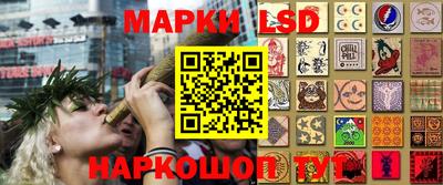 ПСИЛОЦИБИНОВЫЕ ГРИБЫ Гатчина