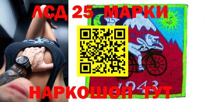 ПСИЛОЦИБИНОВЫЕ ГРИБЫ Гатчина