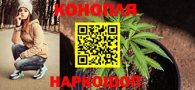 ПСИЛОЦИБИНОВЫЕ ГРИБЫ Гатчина