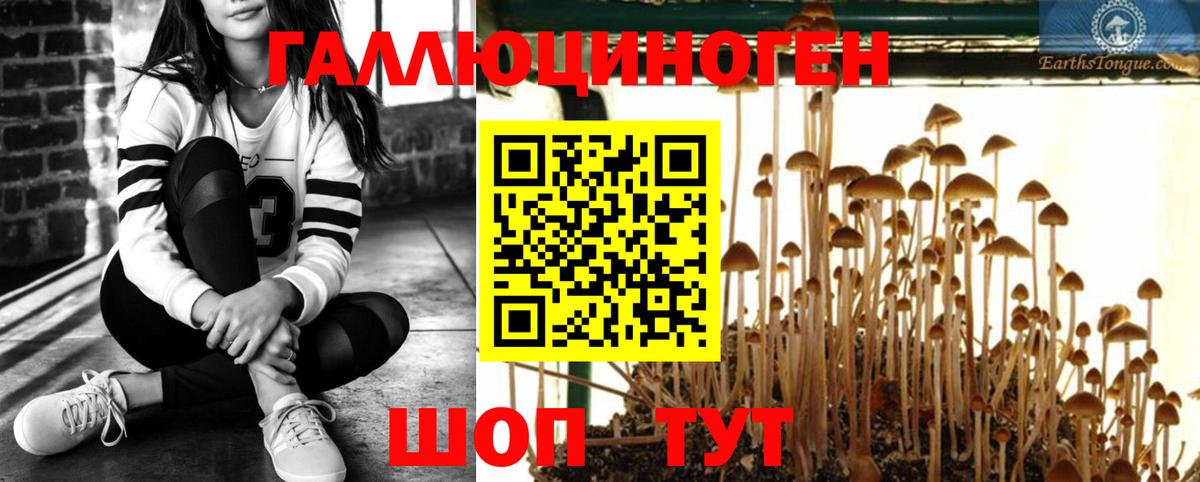 Галлюциногенные грибы мицелий Набережные Челны